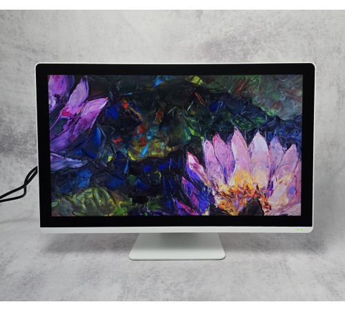 Монитор Сенсорный 24" DIVA RGD2461AMI 1920x1080 16:9 IPS WLED Multi-touch