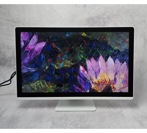 Монітор 24" DIVA RGD2461AMI 1920×1080 IPS Touch